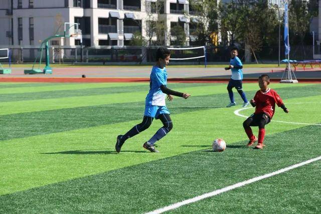 赔率:中国男篮战小组最强对手无悬念 少输当赢